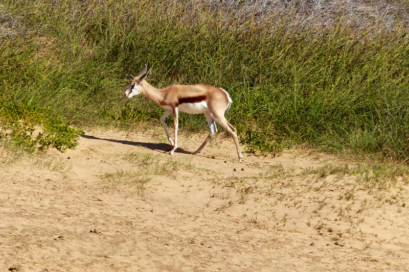 Namibia